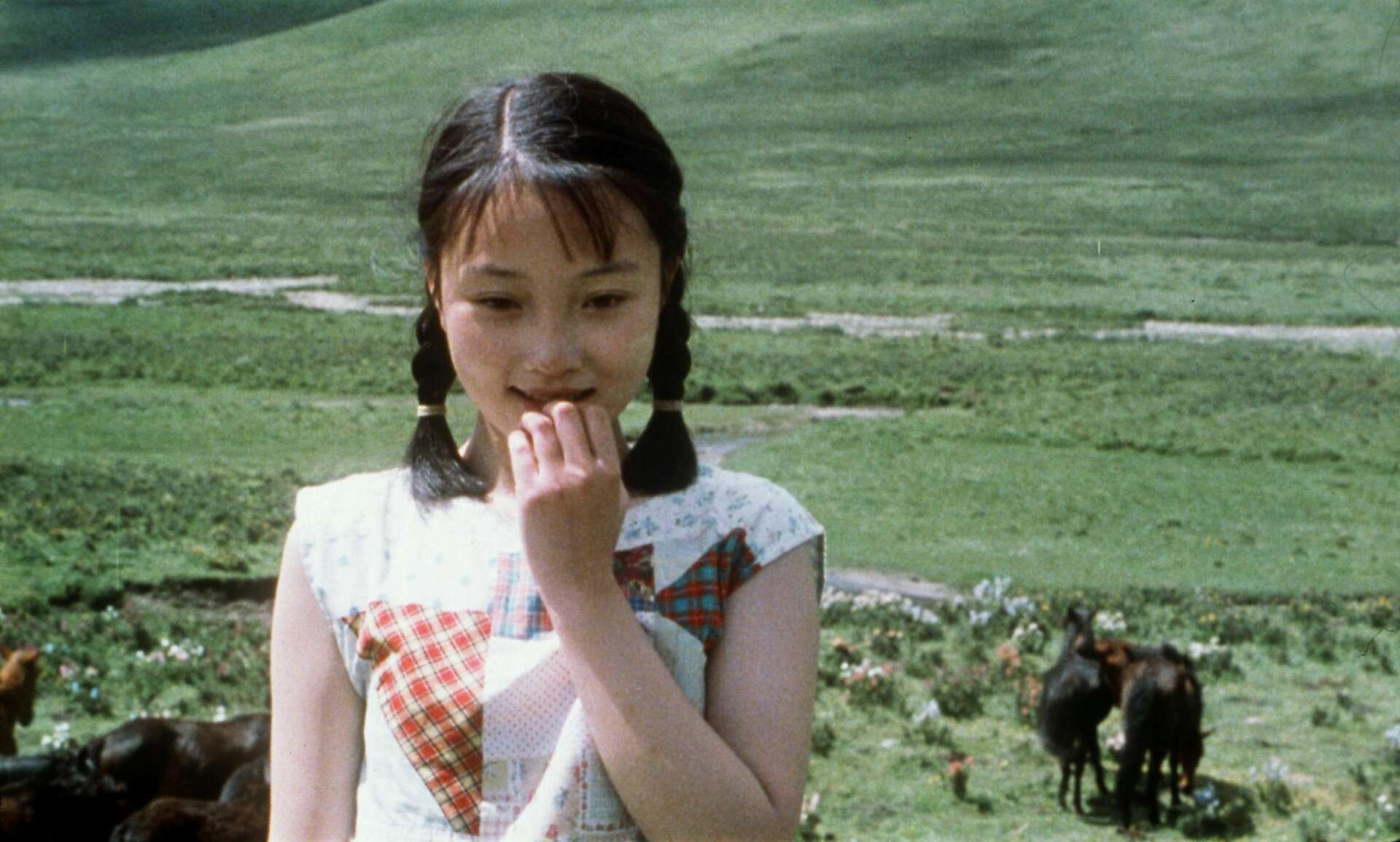 Xiu Xiu: The Sent-Down Girl